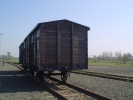 Treno.JPG