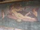IMG_0473.jpg