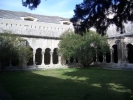 t_CIMG1061.jpg