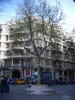 t_CIMG1103.jpg