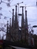 t_CIMG1109.jpg