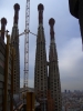 t_CIMG1131.jpg