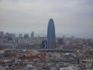 t_CIMG1136.jpg