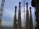 t_CIMG1138.jpg