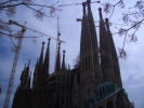 t_CIMG1146.jpg