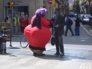 t_CIMG1155.jpg