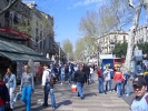 t_CIMG1157.jpg