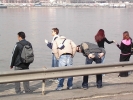 t_DSCI1186.jpg