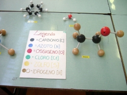DSCF0449.jpg