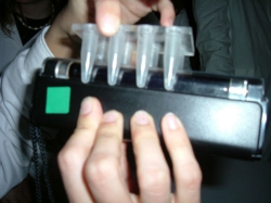 DSCF0387.jpg