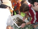 t_DSCF0948.jpg