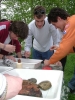 t_DSCF0960.jpg
