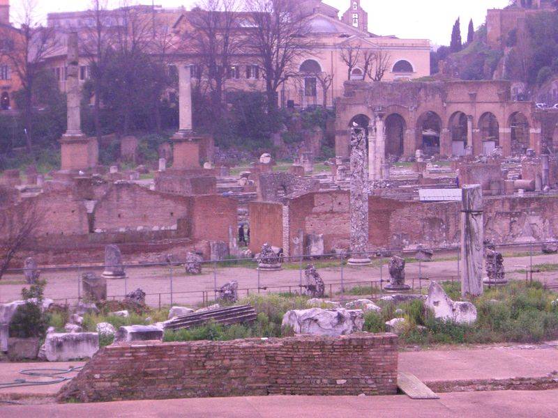 CIMG0538.jpg