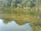 DSC01090.JPG