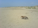 DSC01095.JPG
