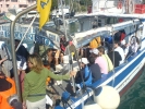 DSC01118.JPG