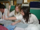 DSCF1618.JPG