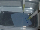 DSCF1625.JPG