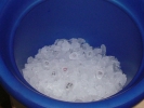 DSCF1626.JPG