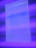 DSCF1654.JPG