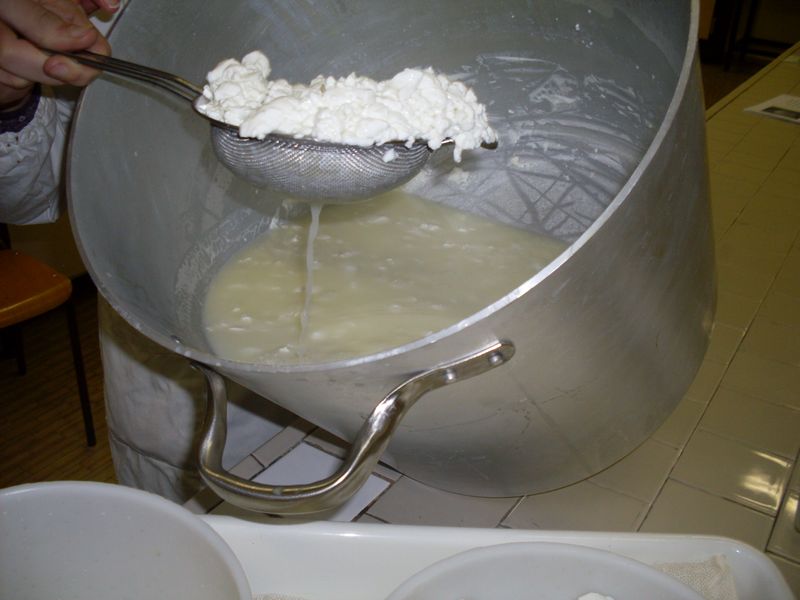 SDC10210.JPG
